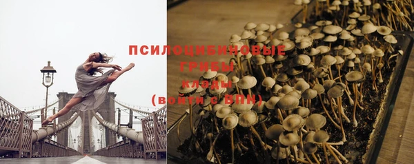 кокс Баксан